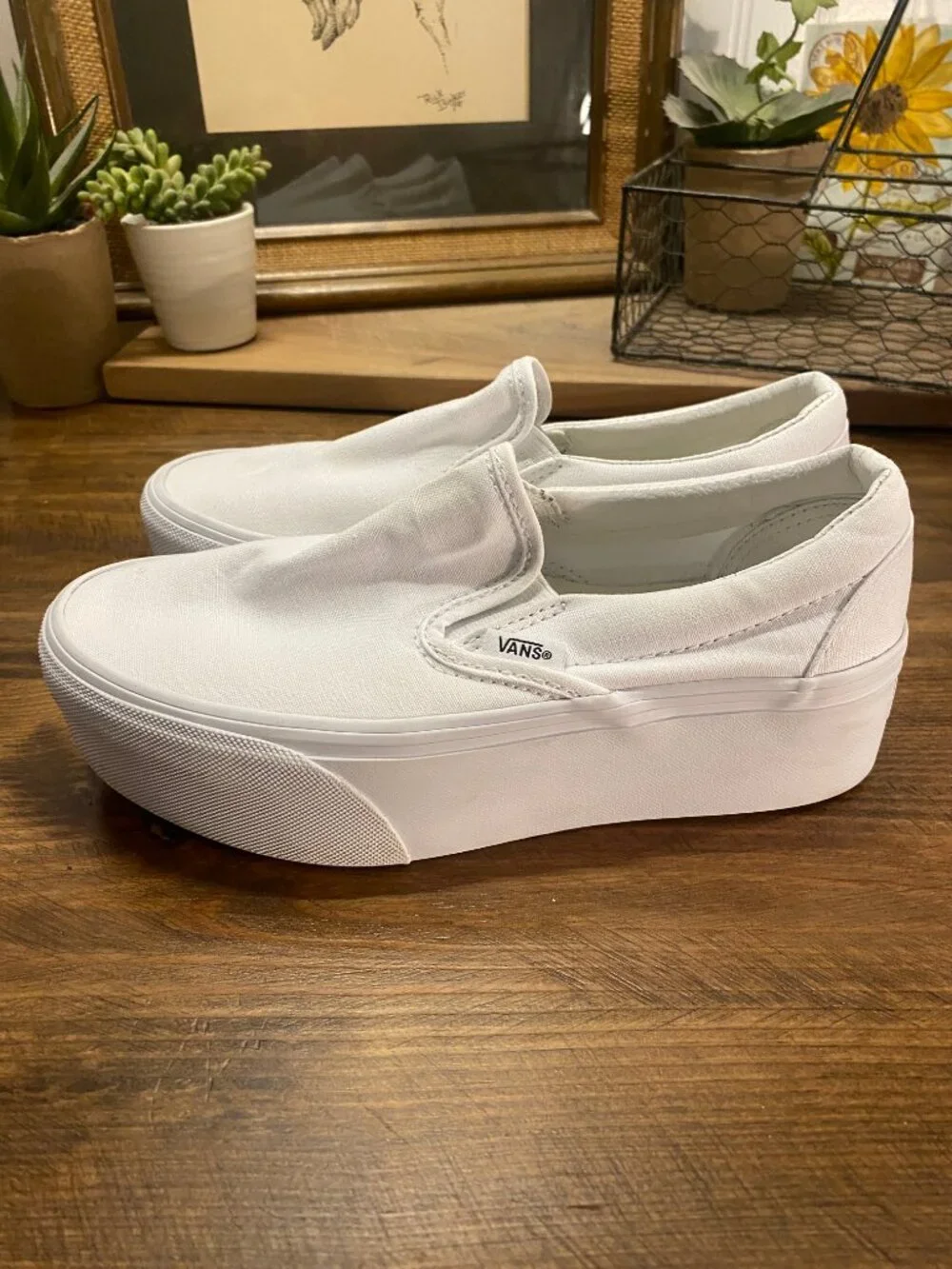 Vans brand size